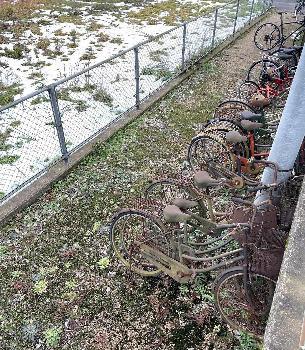 高松町駅周辺で土に還りかけている自転車