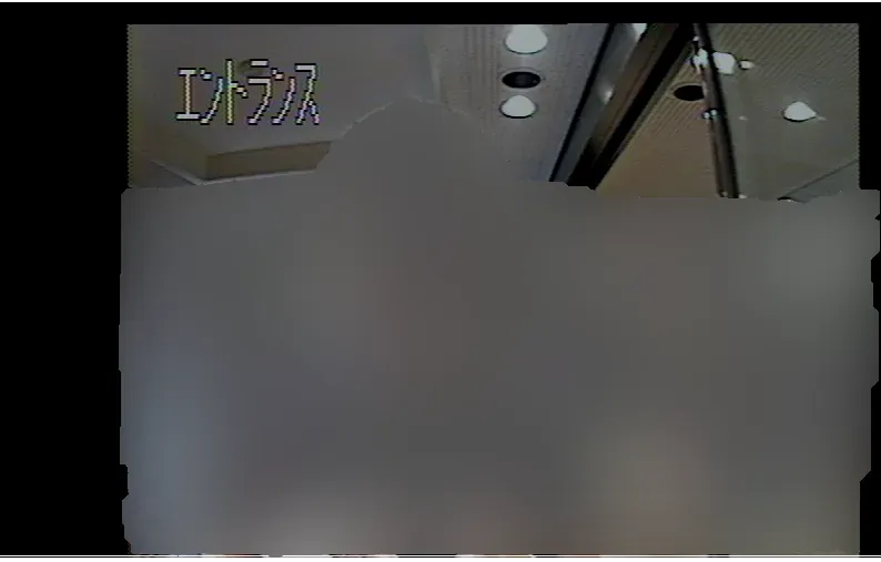 著者近影 その2